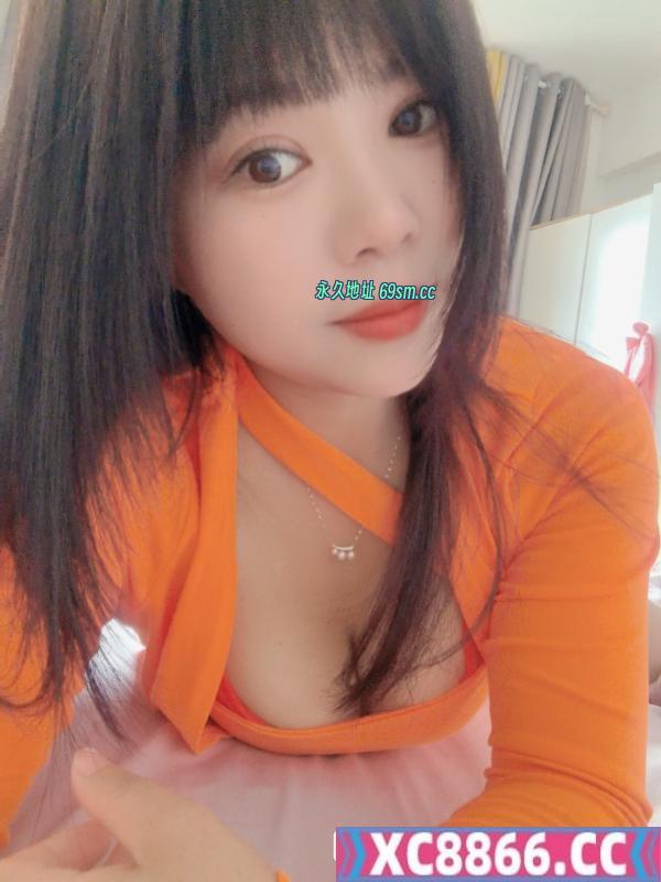 树木岭小狐狸