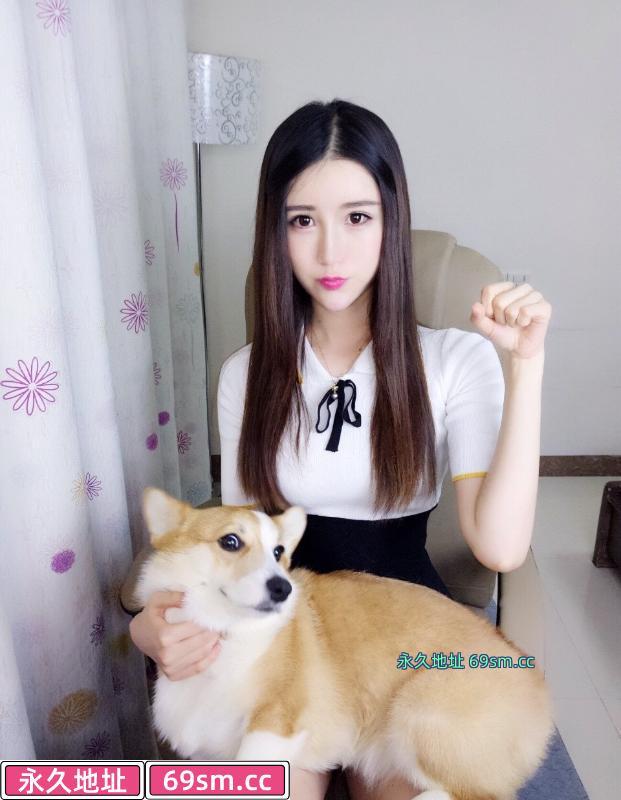 上海小猫