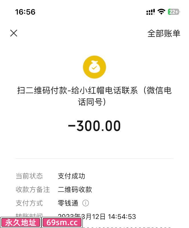 少妇主打服务控