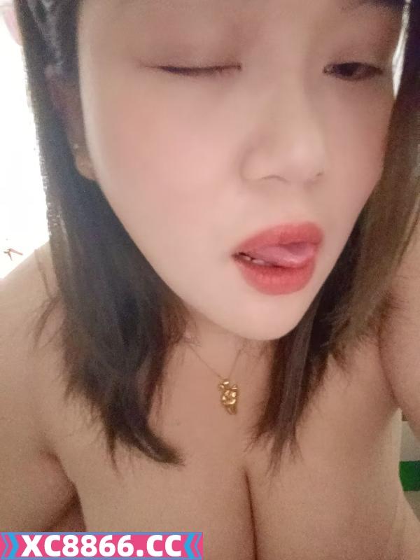 体验北城小浪浪