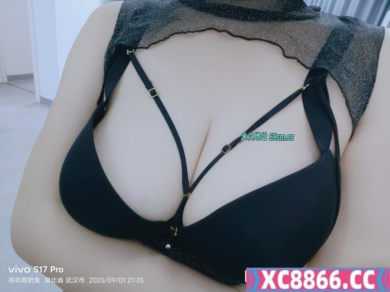 武汉奶兔