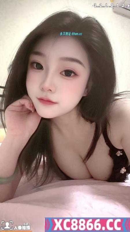 雁塔老师金宝宝