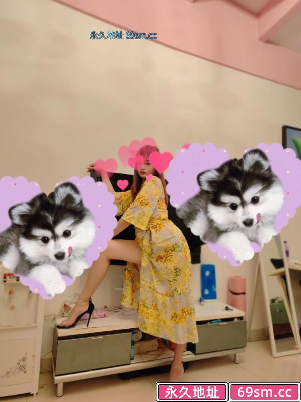 石家庄长腿骚货