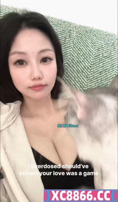 徐汇佛系猫妮