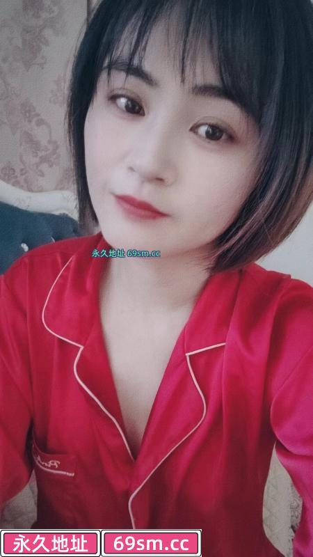 鼓楼含羞草