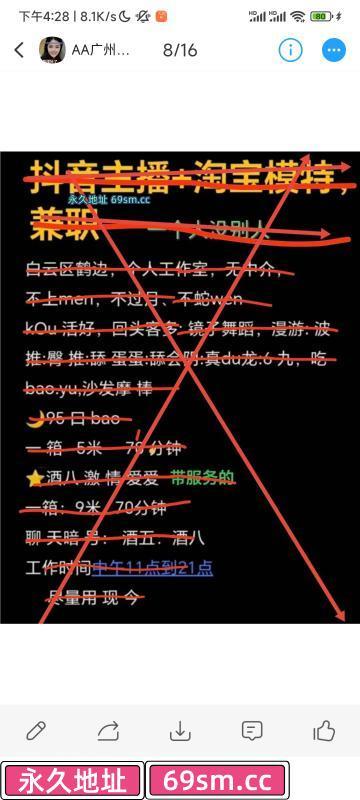 白云95双飞宝儿狸儿