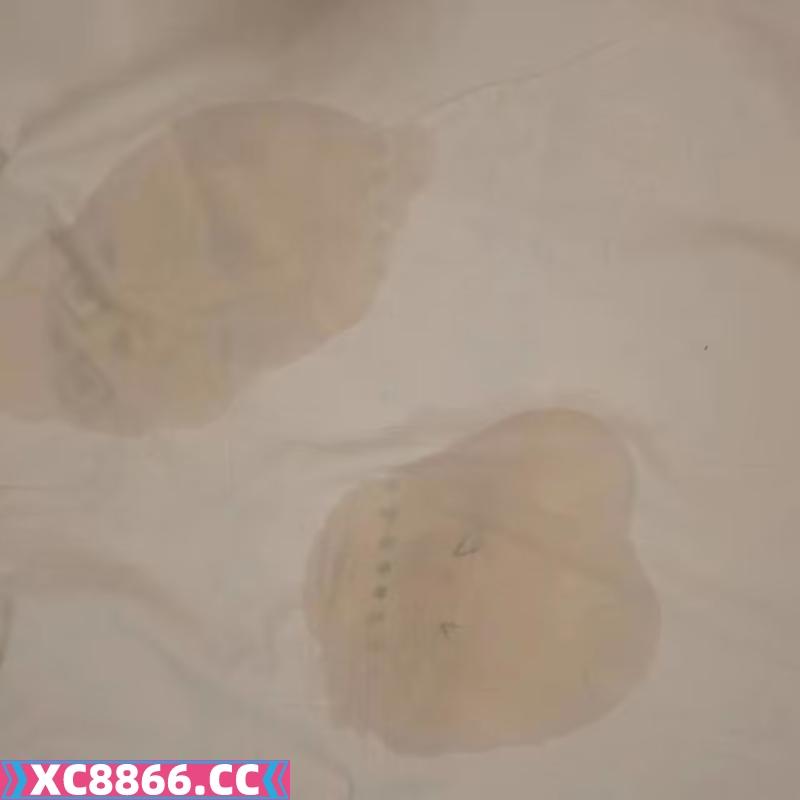 河东小龙女