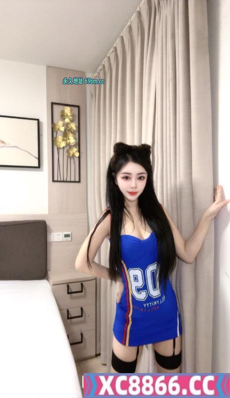 姑苏小野猫可可豆