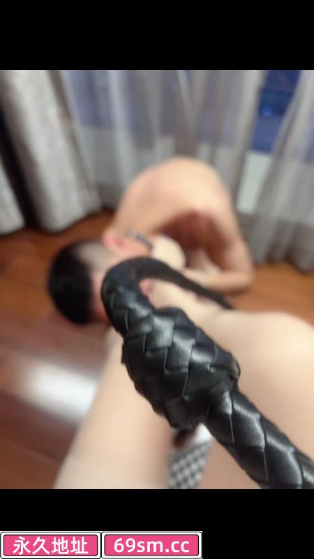有调教的姐姐