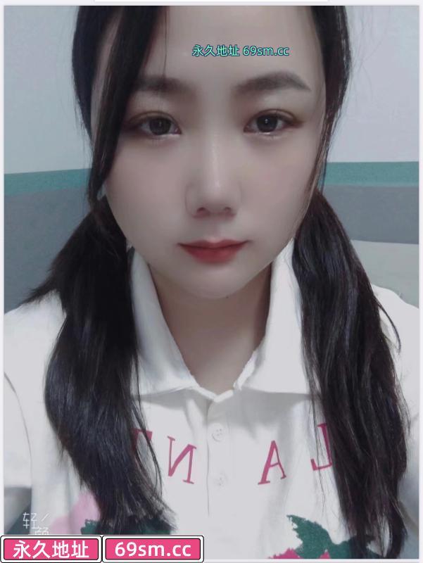 清湖小章鱼