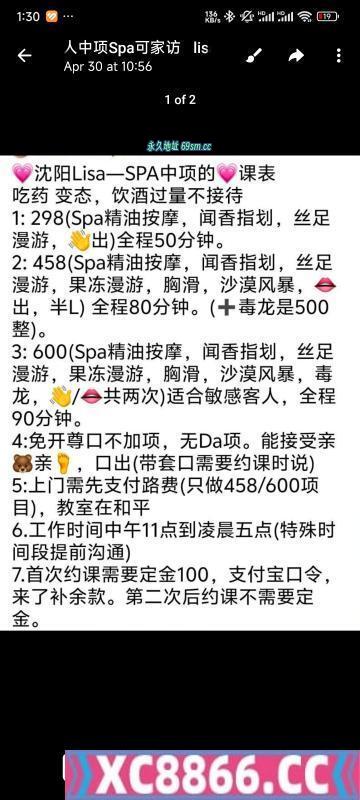 沈阳中项lisa无大