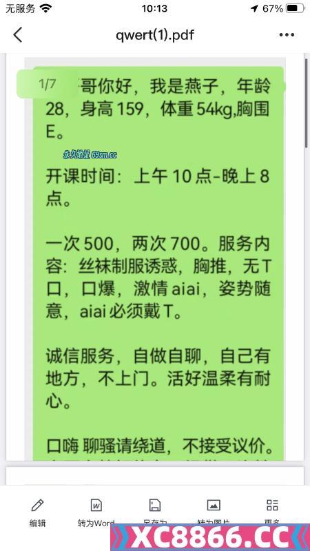 常州大胸燕子