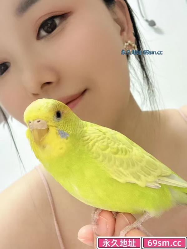 半套美女