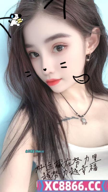 南开全套小家伙