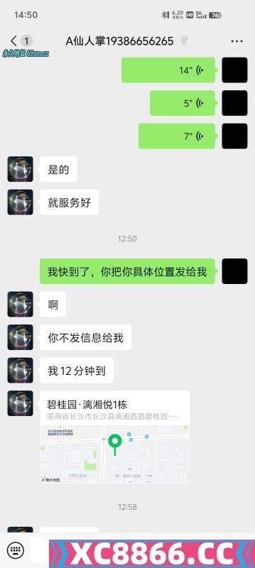 长沙县半套仙人掌