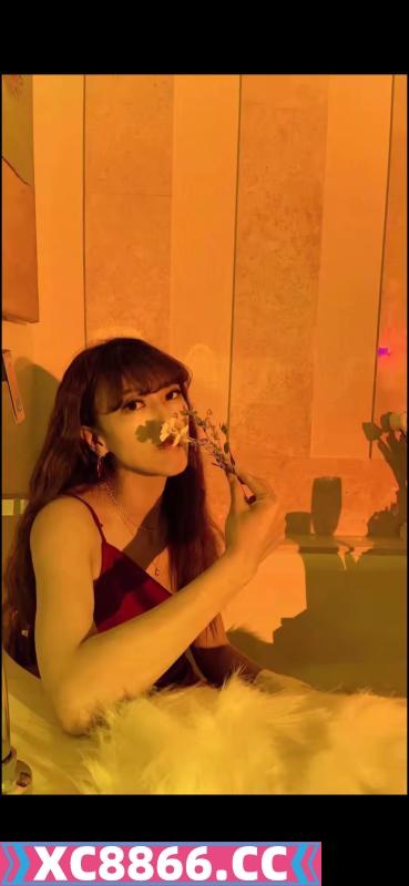 大连西岗月月