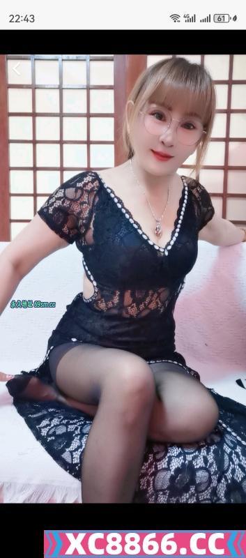拱北猫猫