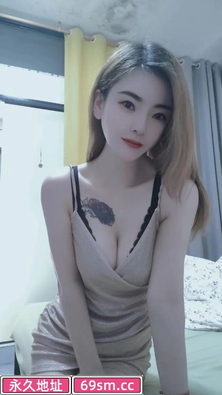 固戍小猫咪