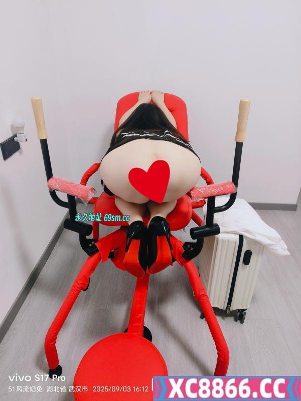 武汉奶兔
