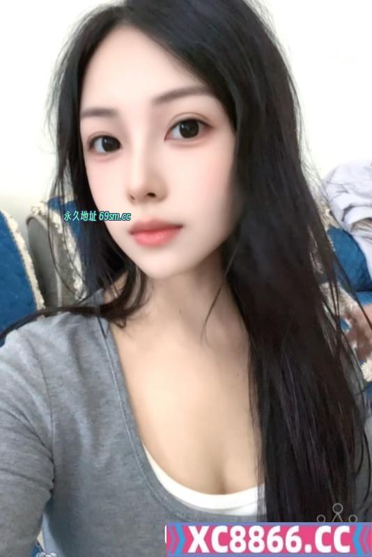 混血新疆小猫咪