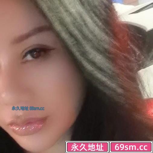 铁西燕子